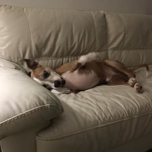 Meet your Posher, Catherine